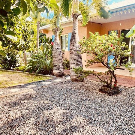 L'Oasis Saint Pierroise Et Son Jacuzzi Villa Bagian luar foto